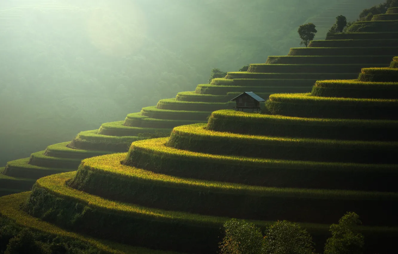 Photo wallpaper field, light, nature, slope, stage, house