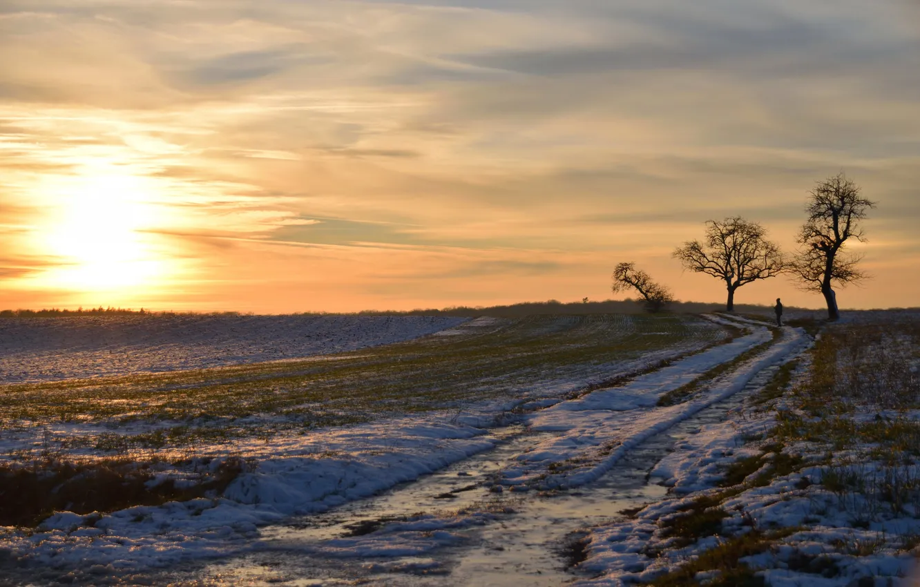 Photo wallpaper winter, field, morning