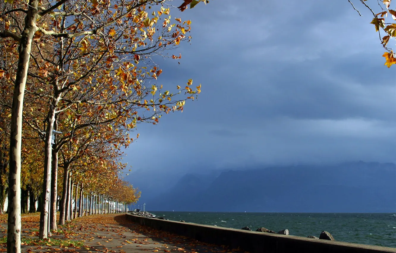 Photo wallpaper sea, autumn, the sky, leaves, water, trees, Park, horizon