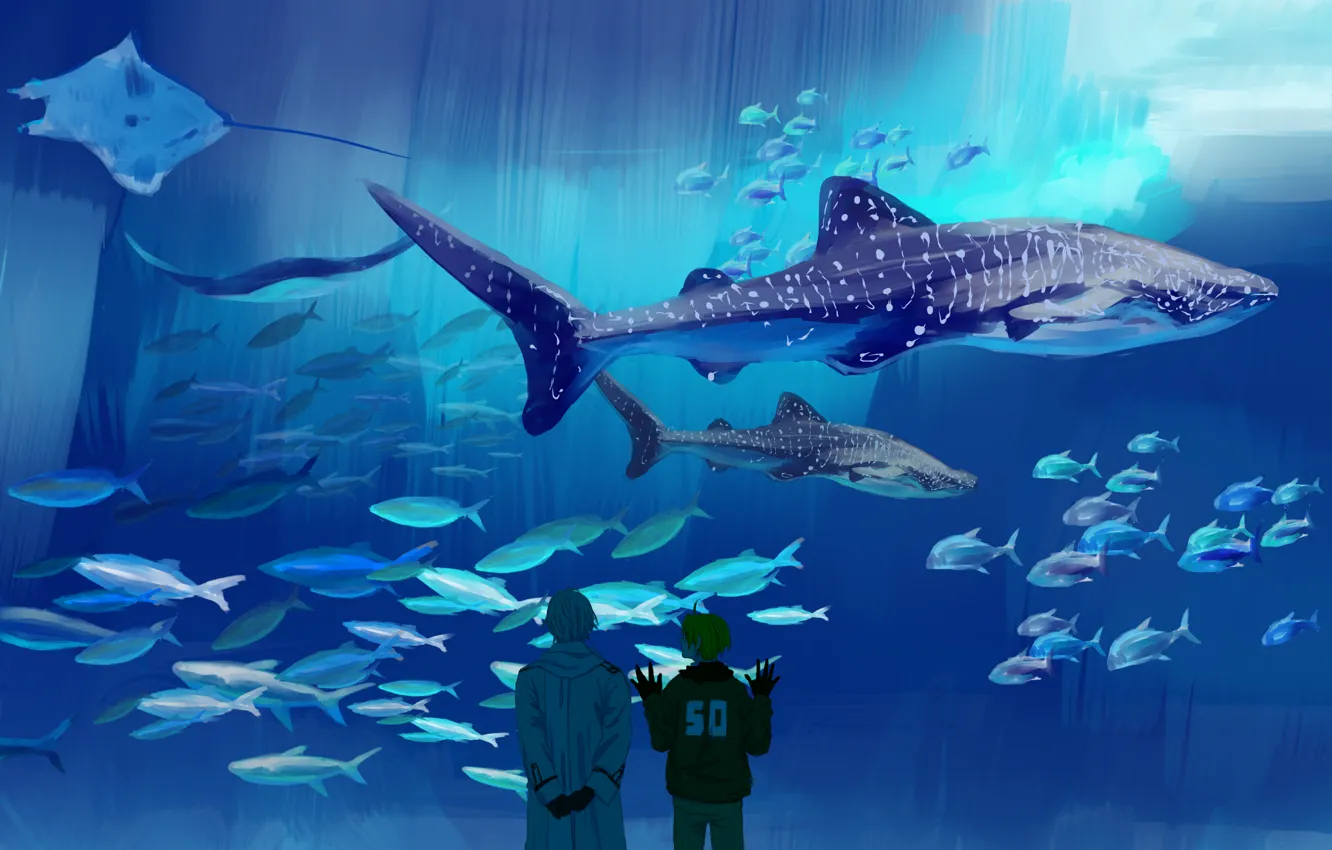 Photo wallpaper aquarium, shark, anime, large, art, SKAT, observation, sea