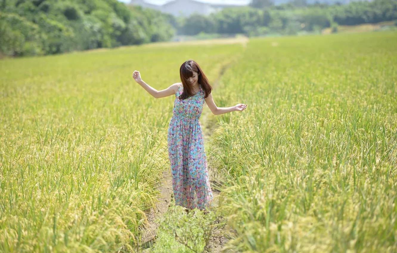 Photo wallpaper field, summer, girl