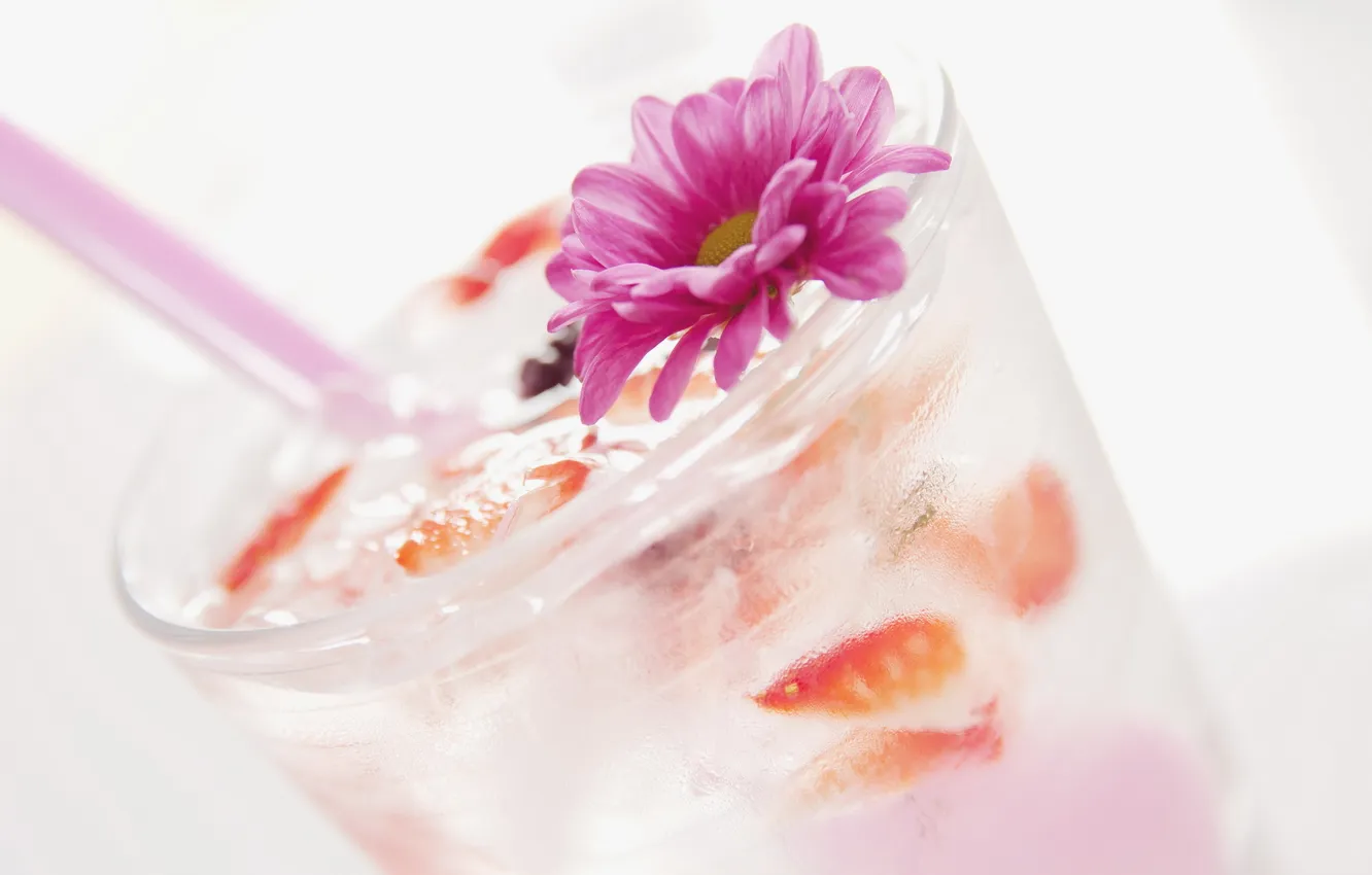 Photo wallpaper flower, cocktail, drink