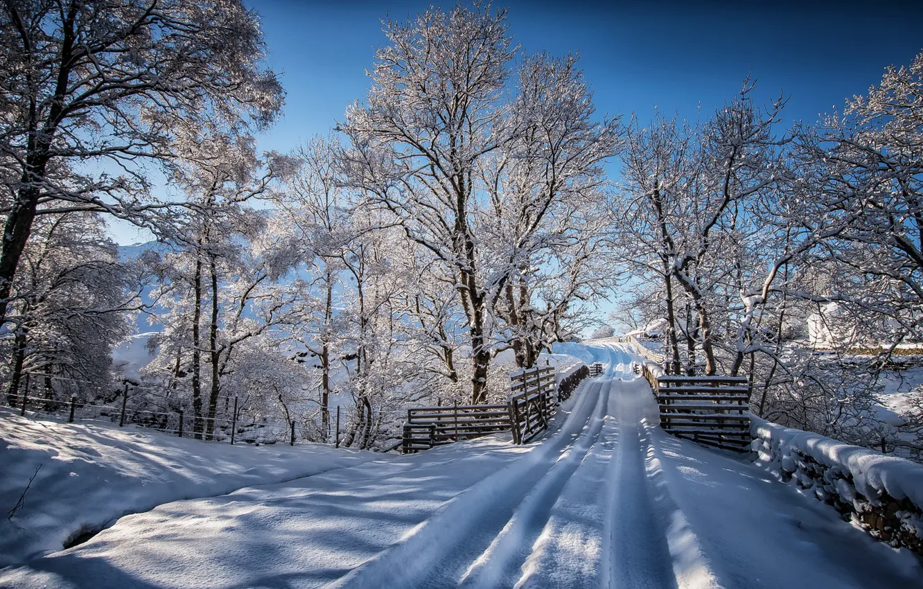 Photo wallpaper winter, road, snow