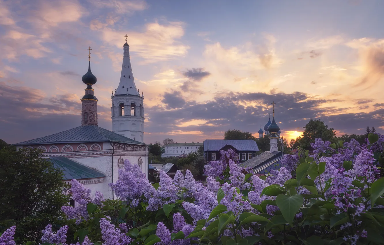 Photo wallpaper sunset, Church, Russia, lilac, Suzdal, Igor Abroskin