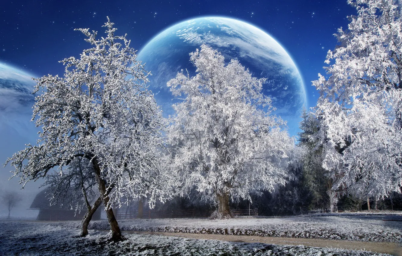 Photo wallpaper winter, snow, trees, planet