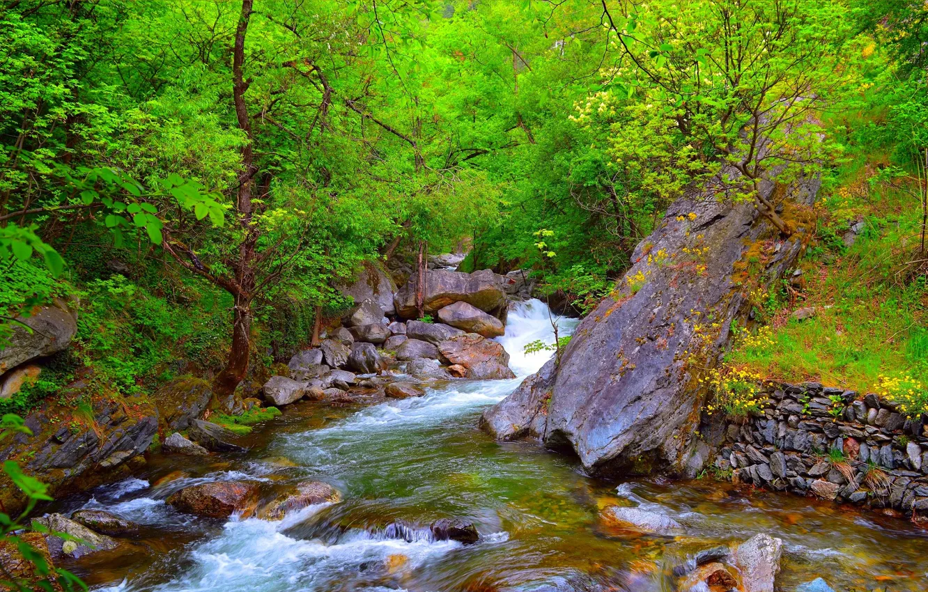 Photo wallpaper nature, stones, stream, spring, river, river, nature, spring