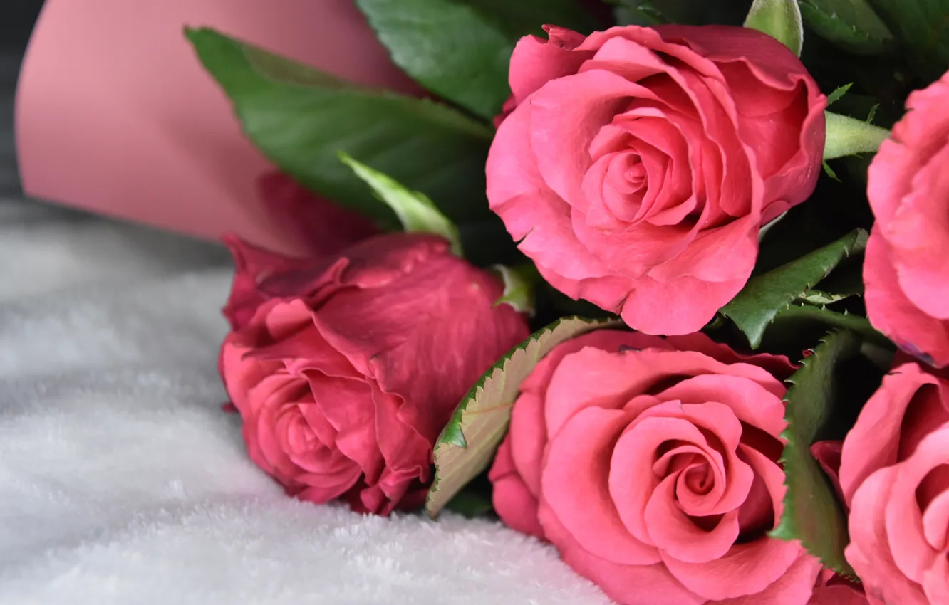 Photo wallpaper leaves, macro, flowers, red, roses, bouquet, fur, pink