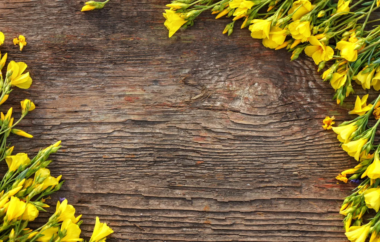 Photo wallpaper flowers, yellow, yellow, wood, flowers, spring