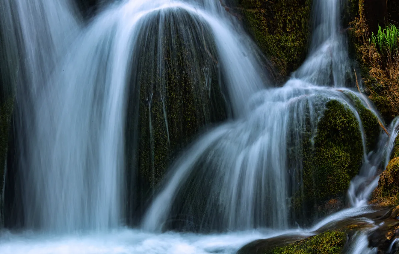 Photo wallpaper greens, water, rocks, vegetation, waterfall, moss, stream, cascade