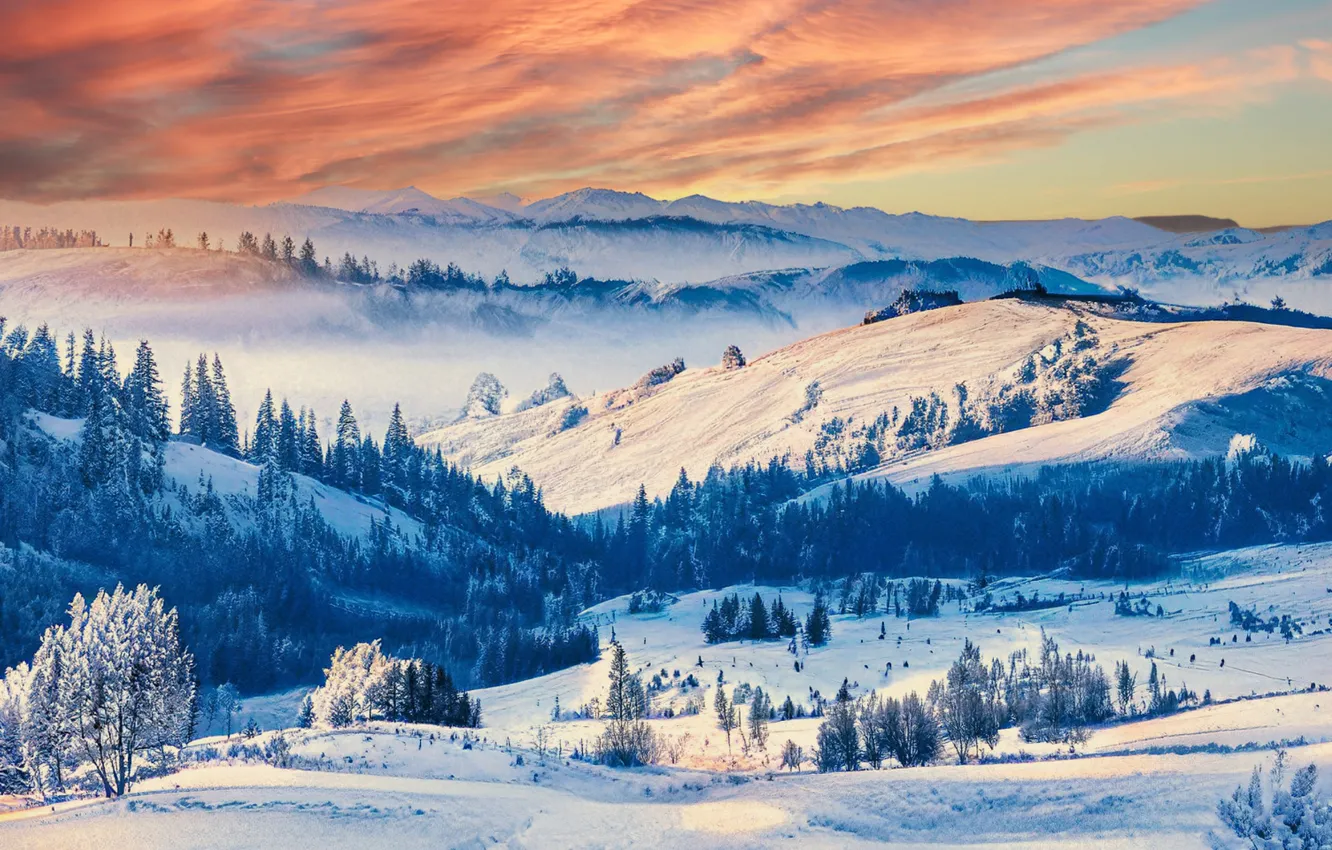 Photo wallpaper winter, field, forest, the sky, clouds, light, snow, trees
