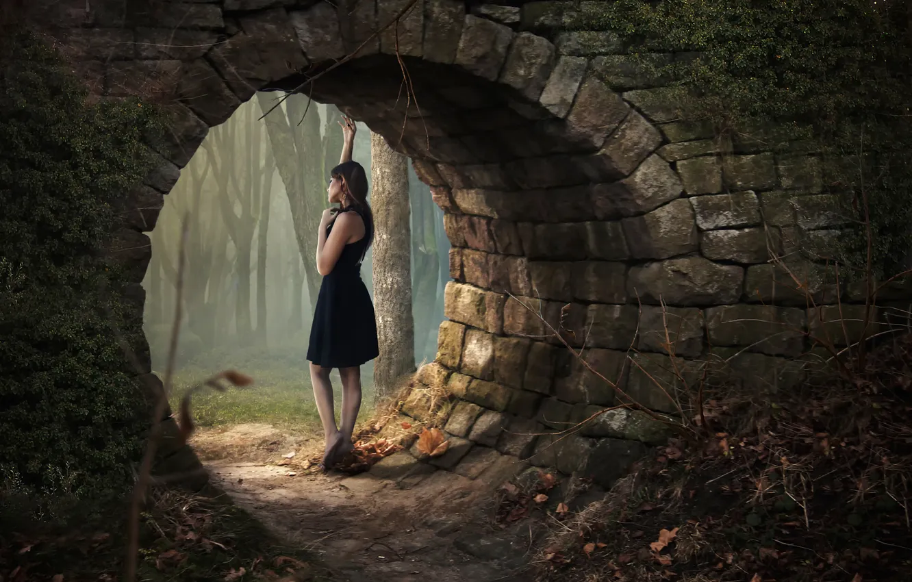 Photo wallpaper forest, girl, dress, Alone