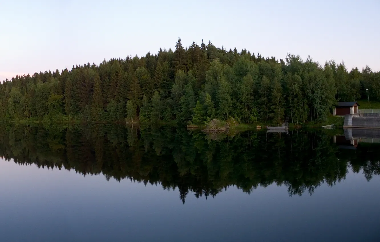 Photo wallpaper forest, water, trees, landscape, nature, lake, river, view