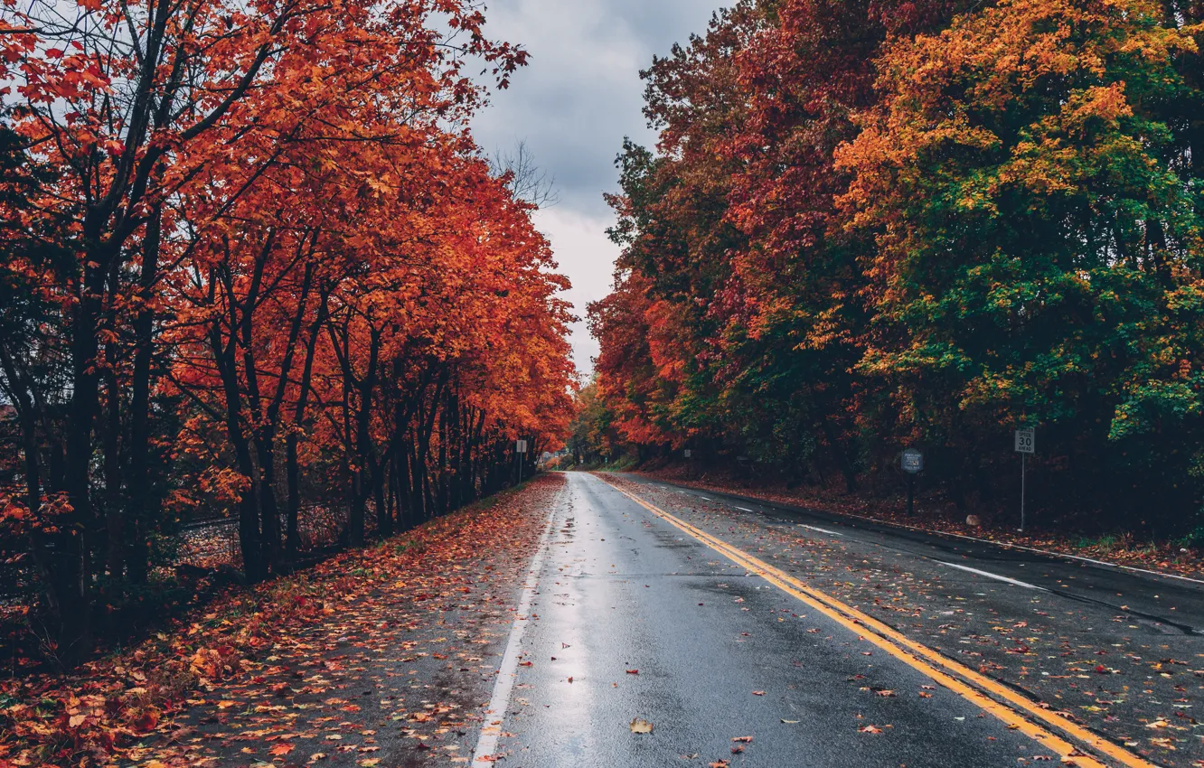 Photo wallpaper road, autumn, leaves, trees, Park, road, landscape, nature