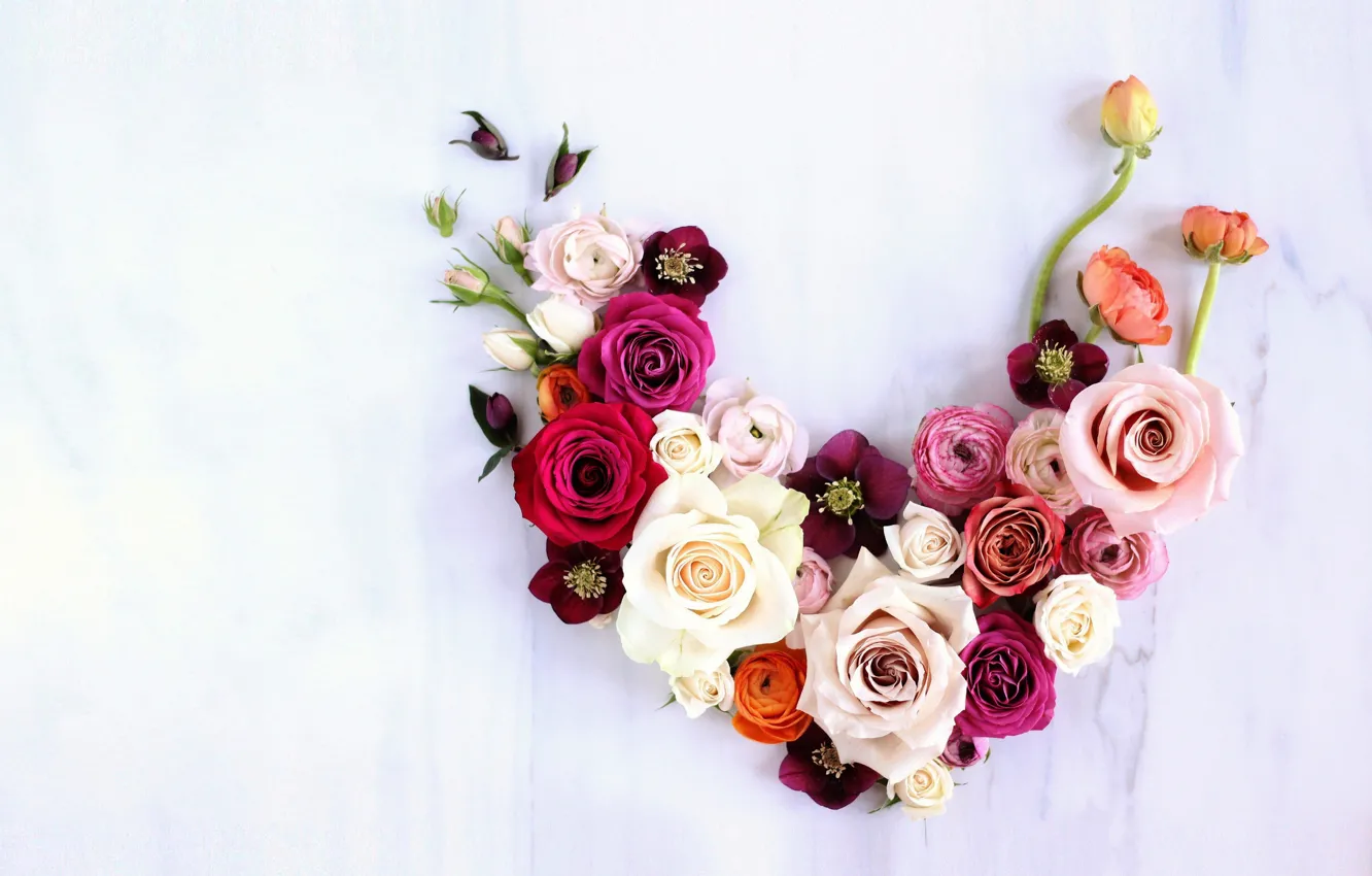 Photo wallpaper flowers, background, roses, composition