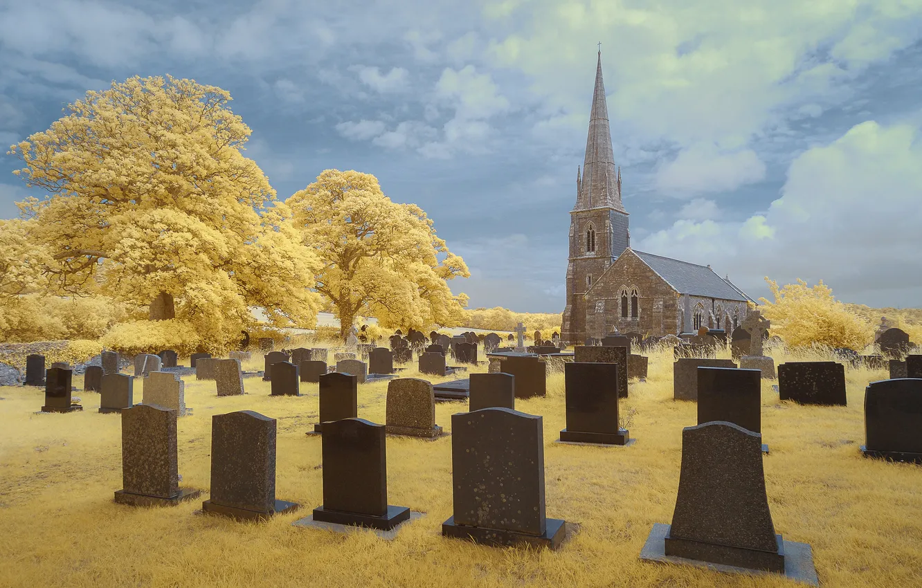 Photo wallpaper field, autumn, the sky, grass, trees, treatment, Church, cemetery