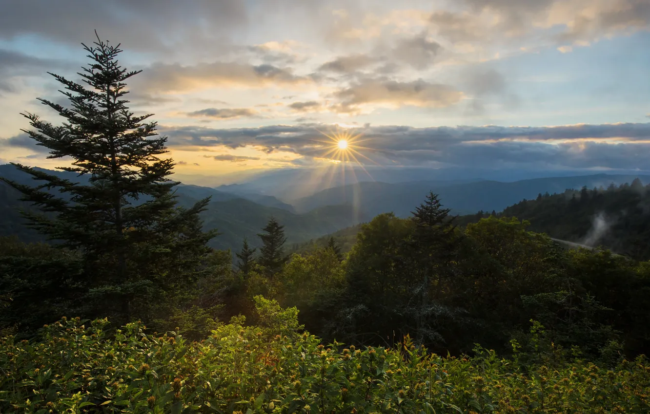 Photo wallpaper sunset, mountains, North Carolina, North Carolina, Blue Ridge Parkway, Plott Balsam Mountain, Waterrock Knob