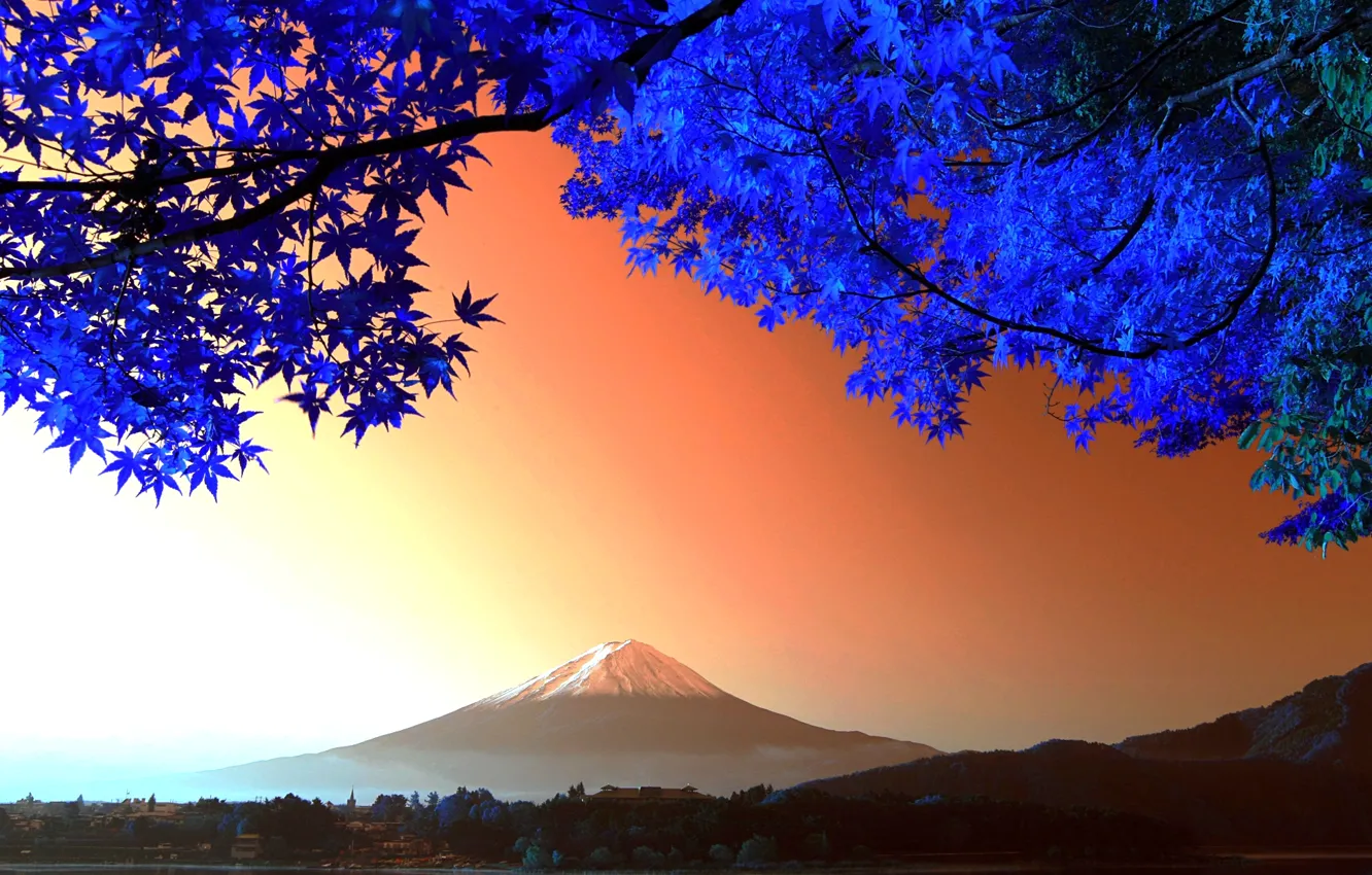 Photo wallpaper leaves, tree, mountain, Japan, Fuji