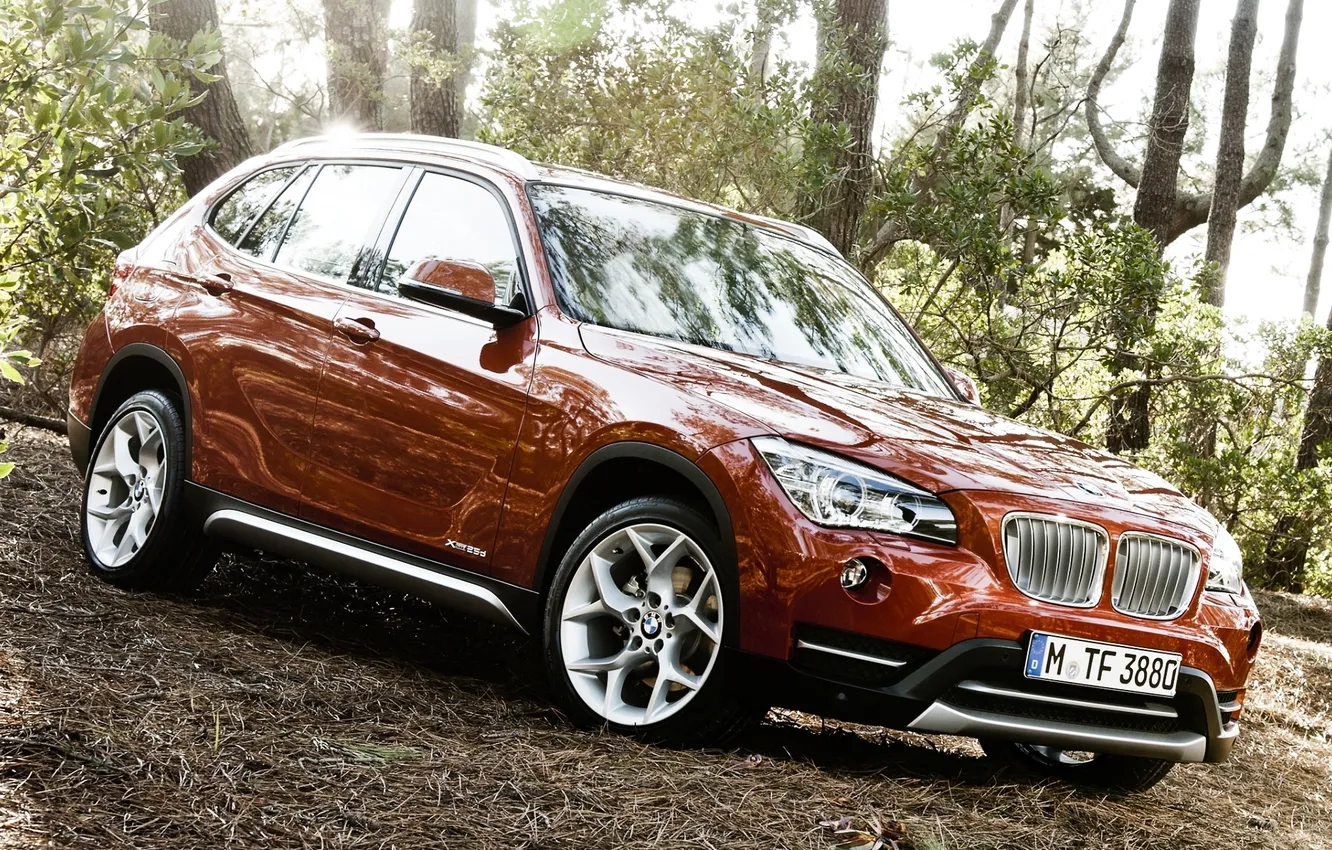 Photo wallpaper forest, BMW, BMV, the front, crossover, икс1