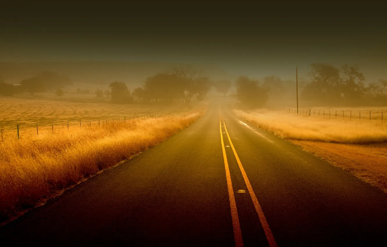 Photo wallpaper road, grass, trees, landscape, fog, the fence, haze, Wallpaper for desktop