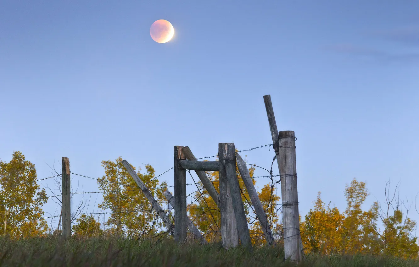 Photo wallpaper field, the sky, grass, trees, the moon, the fence, barbed wire