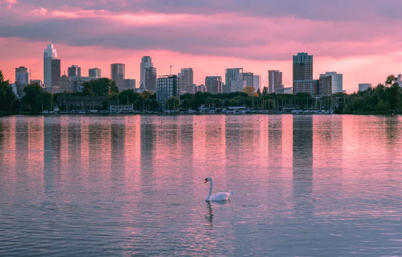 Photo wallpaper the sky, clouds, the city, reflection, bird, building, home, skyscrapers