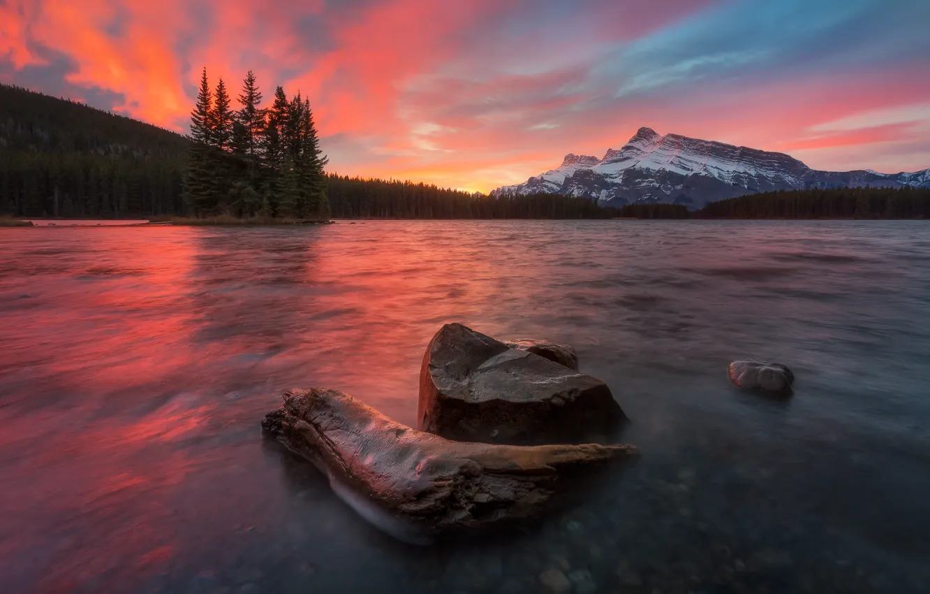 Photo wallpaper forest, the sky, light, sunset, mountains