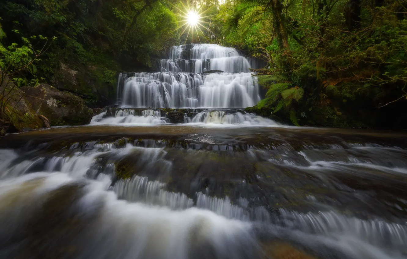Photo wallpaper forest, river, waterfall, New Zealand, cascade, New Zealand, Purakaunui Falls, Purakaunui River