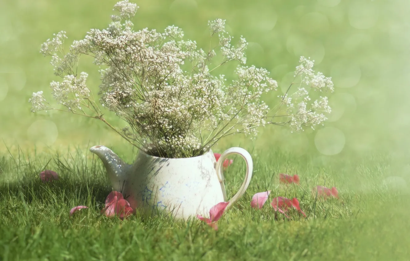Photo wallpaper grass, sunshine, field, flowers, morning, petals, teapot