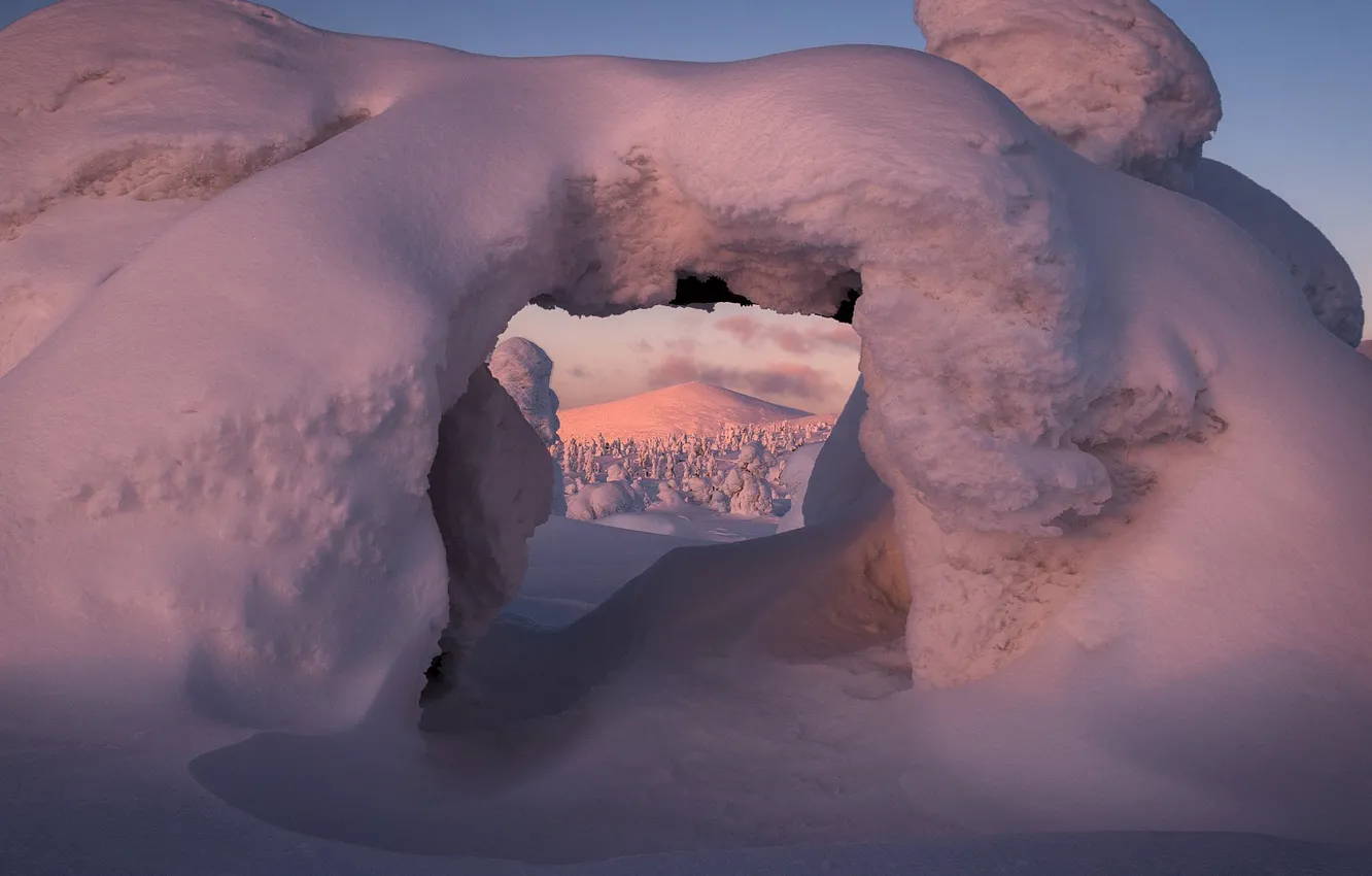 Photo wallpaper winter, snow, trees, landscape, nature, hills, The Arctic, Kandalaksha