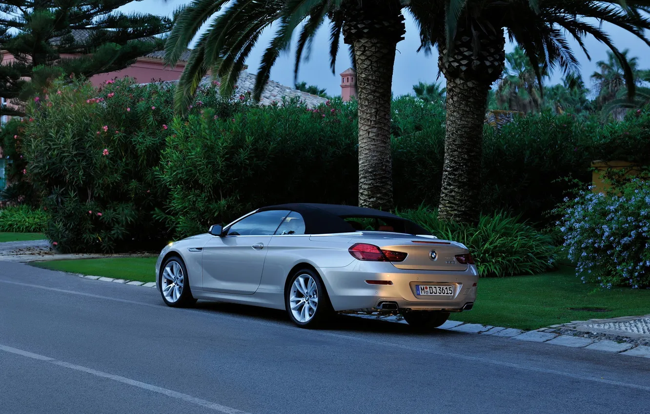 Photo wallpaper BMW, angle, series, Rear