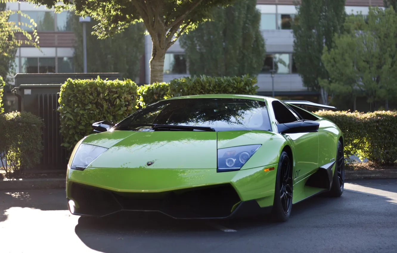 Photo wallpaper green, green, shadow, Lamborghini, the fence, Parking, murcielago, shrub