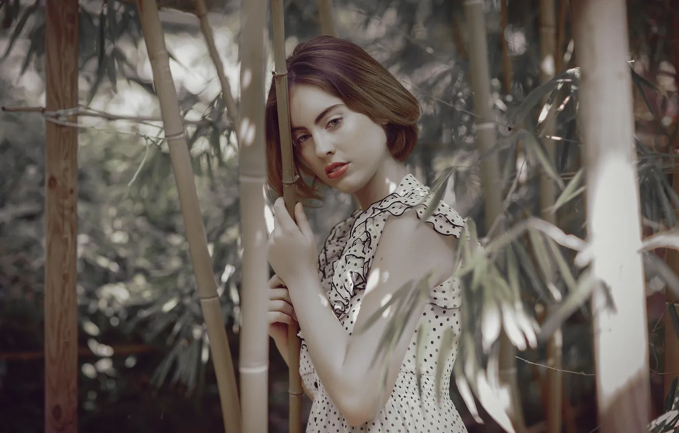 Photo wallpaper summer, look, face, background, bamboo