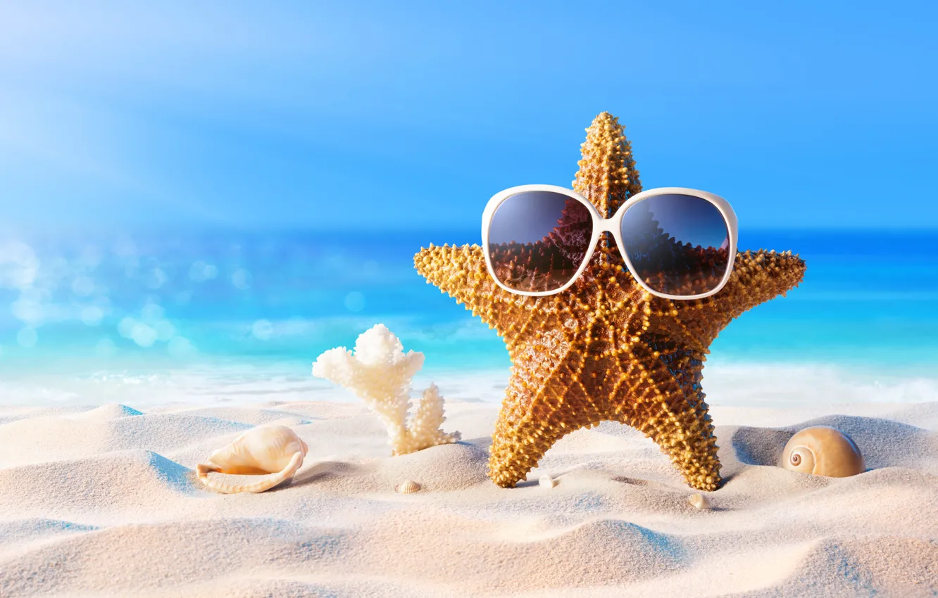 Photo wallpaper sand, sea, beach, summer, star, vacation, glasses, shell