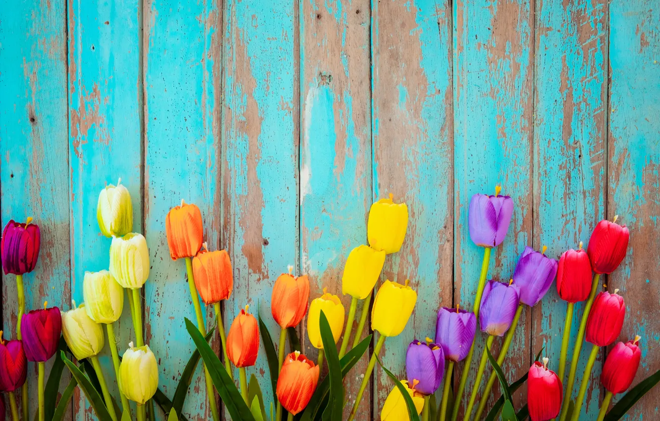 Photo wallpaper flowers, Board, colorful, tulips, wood, flowers, tulips, grunge
