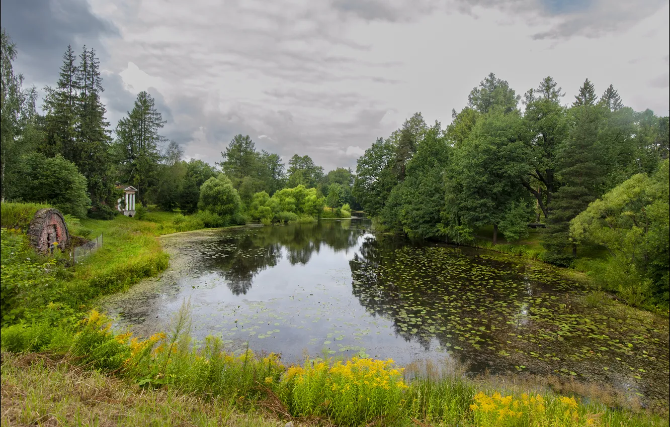 Photo wallpaper clouds, trees, landscape, pond, buildings, Georgy Sapozhnikov, Vsevolzhsky district