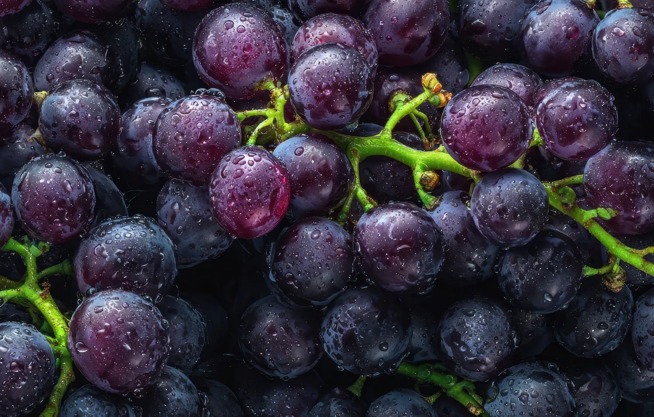 Photo wallpaper purple, drops, macro, harvest, grapes, bunch, a lot, AI art