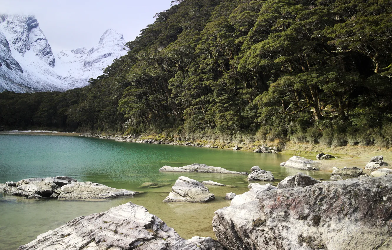 Photo wallpaper lake, stones, shore, vegetation, Lake Mackenzie Hut