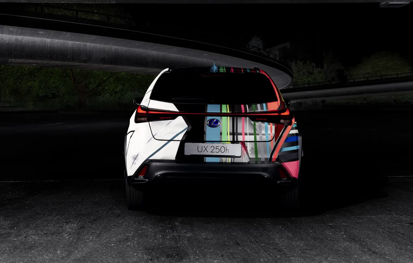 Photo wallpaper Lexus, rear view, crossover, 2019, F SPORT, By Rene Turrek, UX 250h