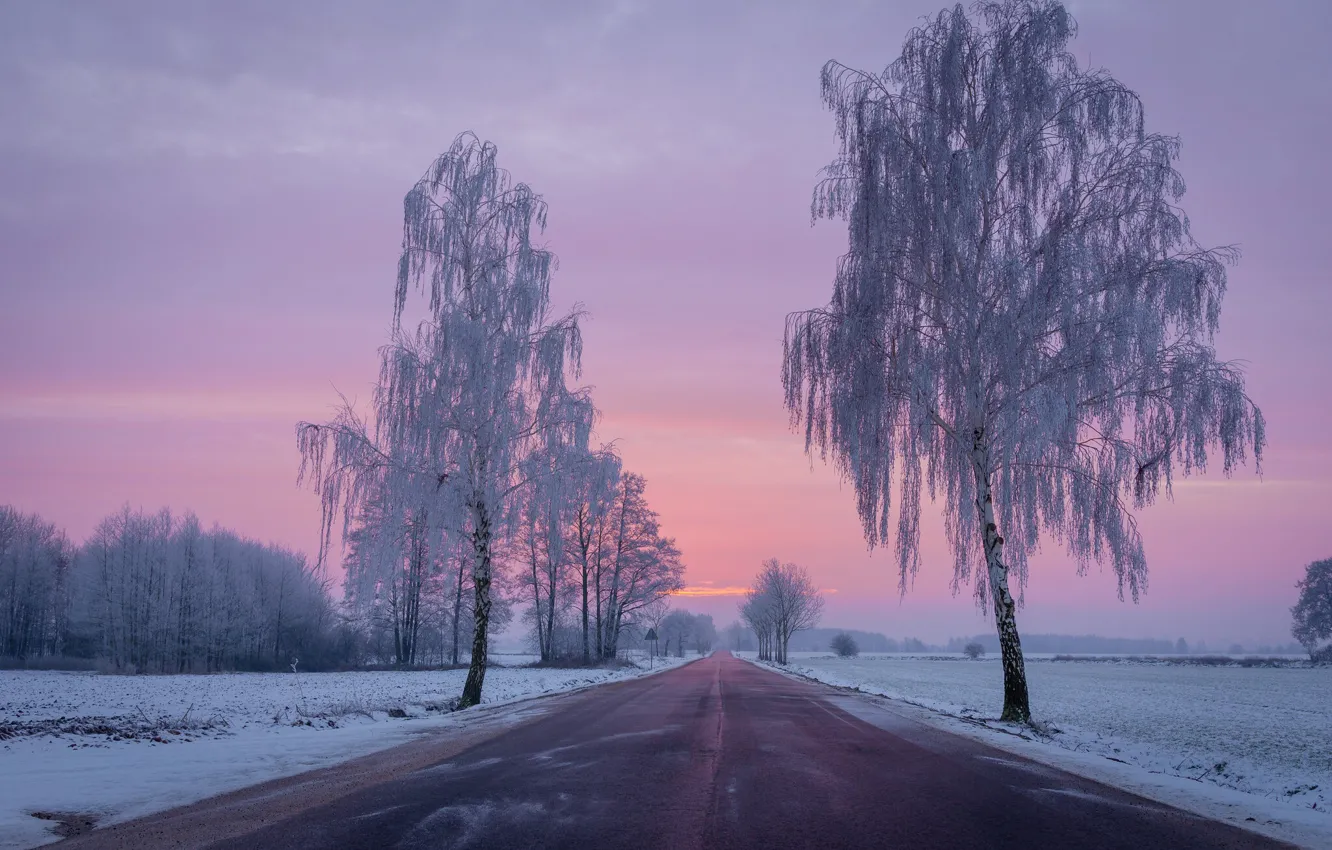 Photo wallpaper winter, road, field, snow, trees, dawn, morning, Poland