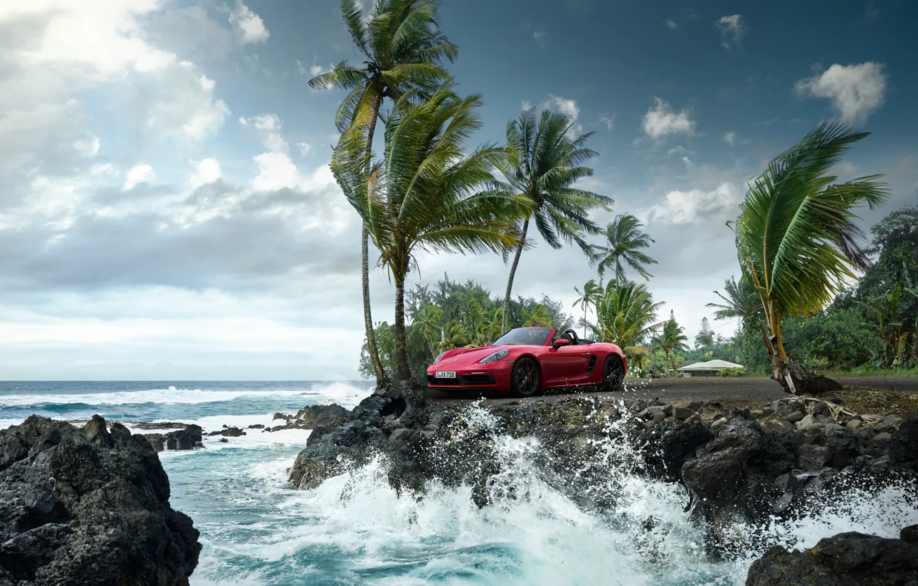 Photo wallpaper wave, palm trees, the ocean, rocks, Porsche