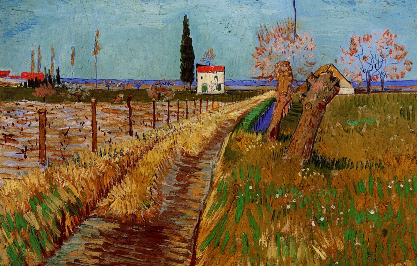 Photo wallpaper Vincent van Gogh, a Field with Willows, Path Through