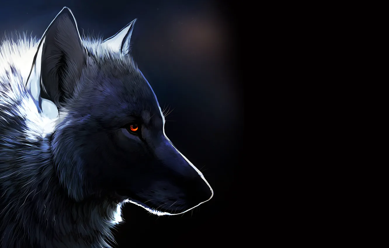Photo wallpaper wolf, black background, amber eyes