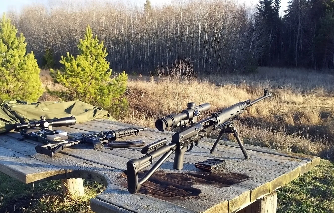 Photo wallpaper tiger, SVD, Dragunov