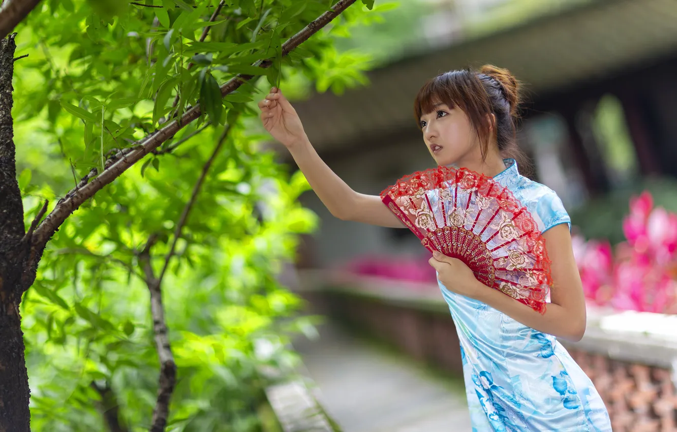 Photo wallpaper girl, trees, fan, Asian
