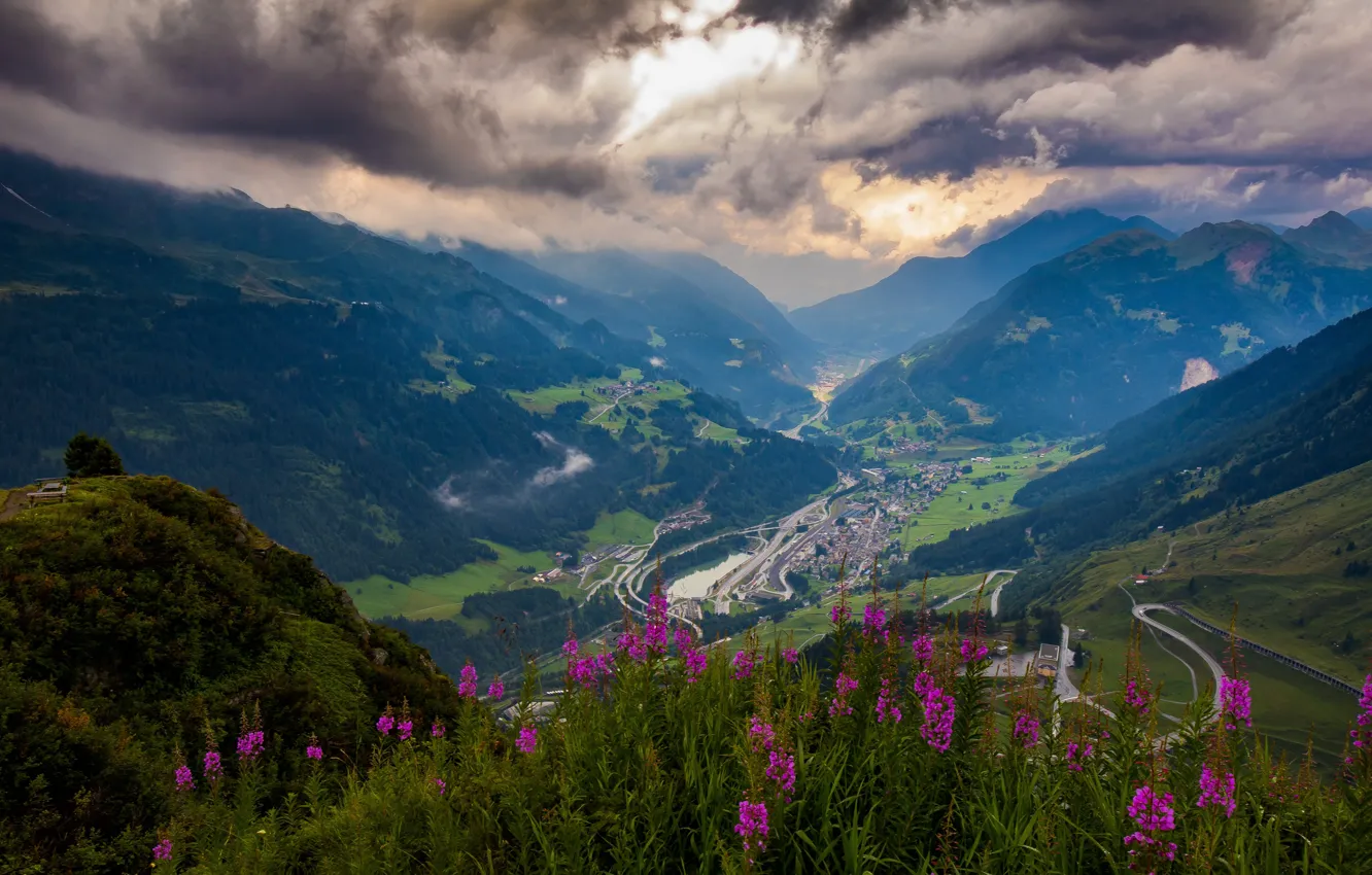 Photo wallpaper flowers, mountains, view, height, settlement, Ivan-tea