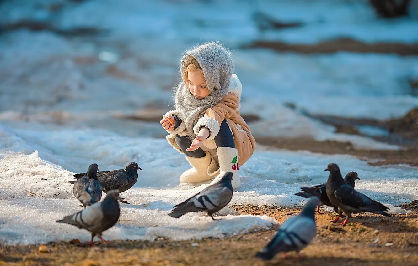 Photo wallpaper snow, birds, spring, pigeons, girl, child, feeding, Irina Larina
