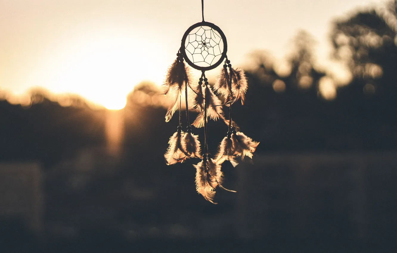 Photo wallpaper sleep, feathers, catcher