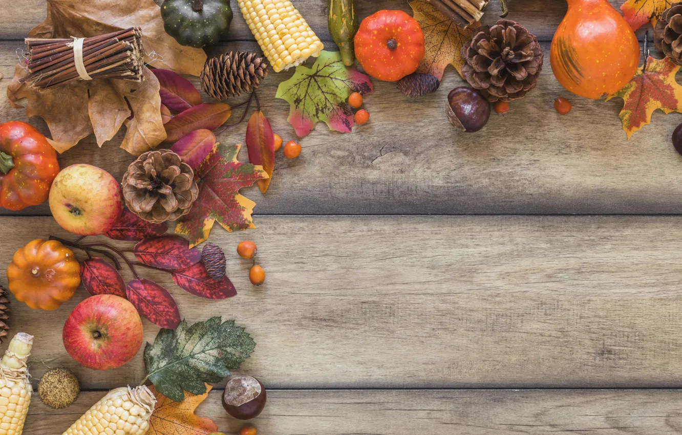 Photo wallpaper autumn, leaves, background, apples, Board, colorful, pumpkin, wood