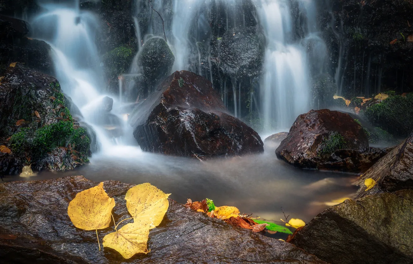 Photo wallpaper autumn, leaves, nature, stones, waterfall