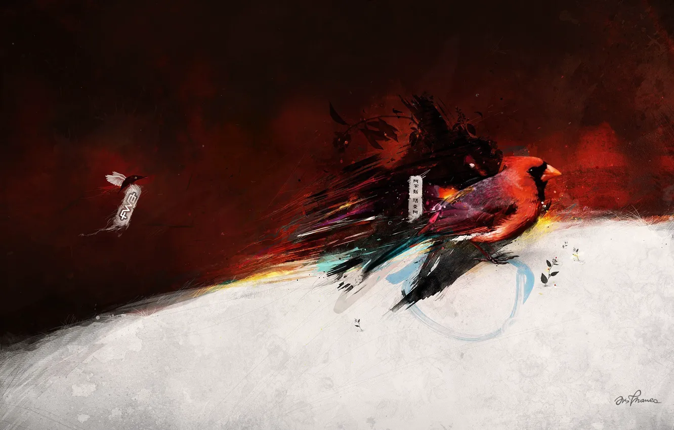 Photo wallpaper red, figure, beak, Bird, characters